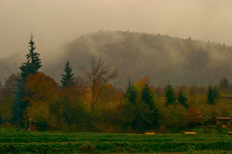 autumn in albota