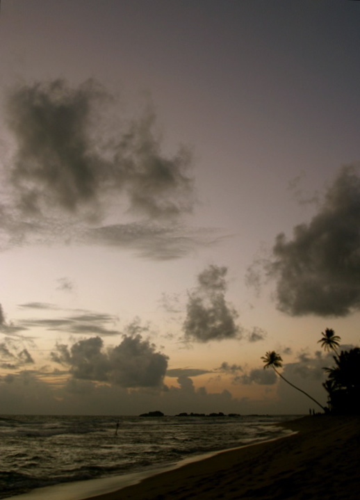 perfect sunset