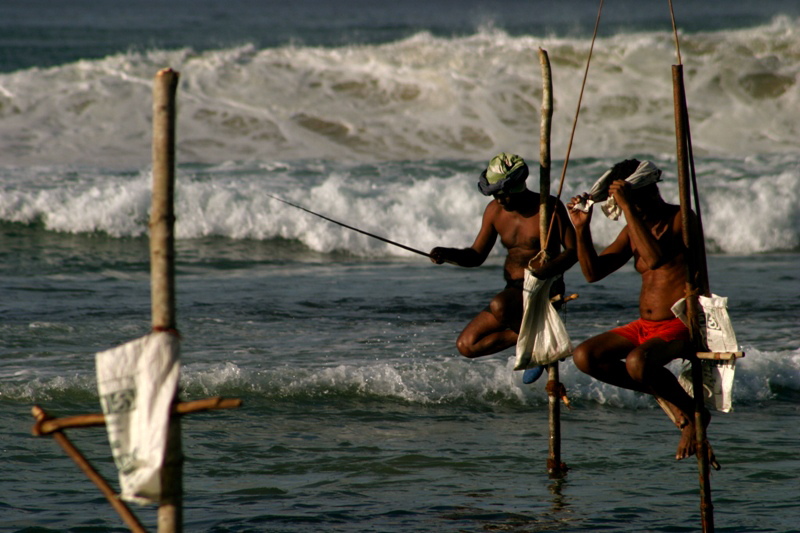 fishing in lanka