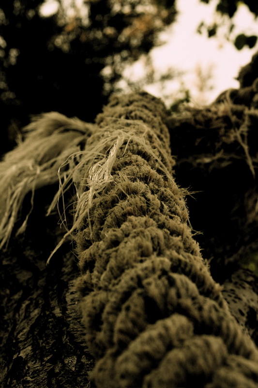 rope - 2nd perspective