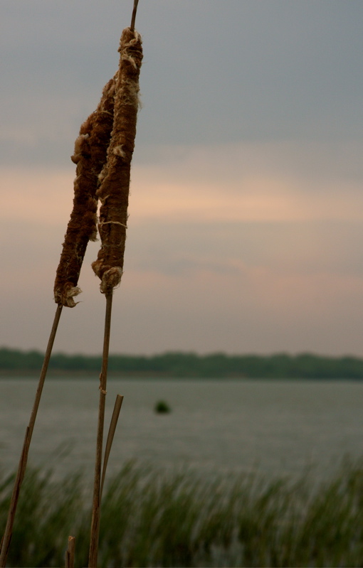 2 sticks