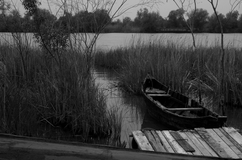 delta scenery b/w