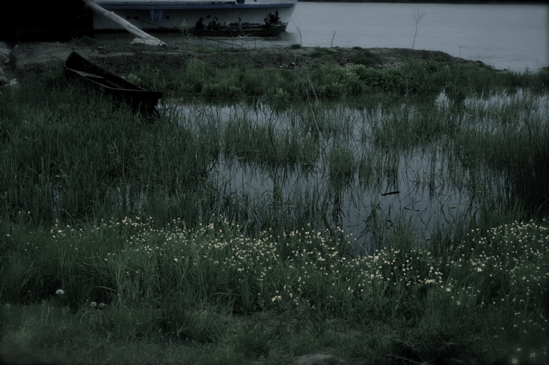 dusk in delta