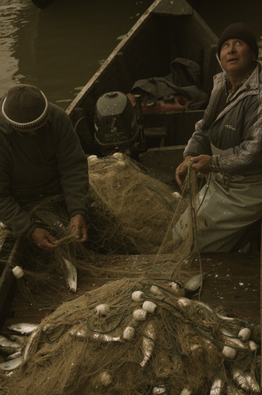 Life in Danube Delta