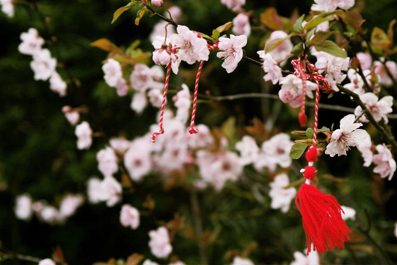spring sign
