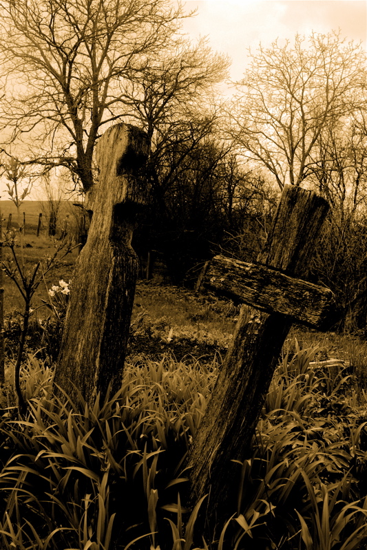 forgotten