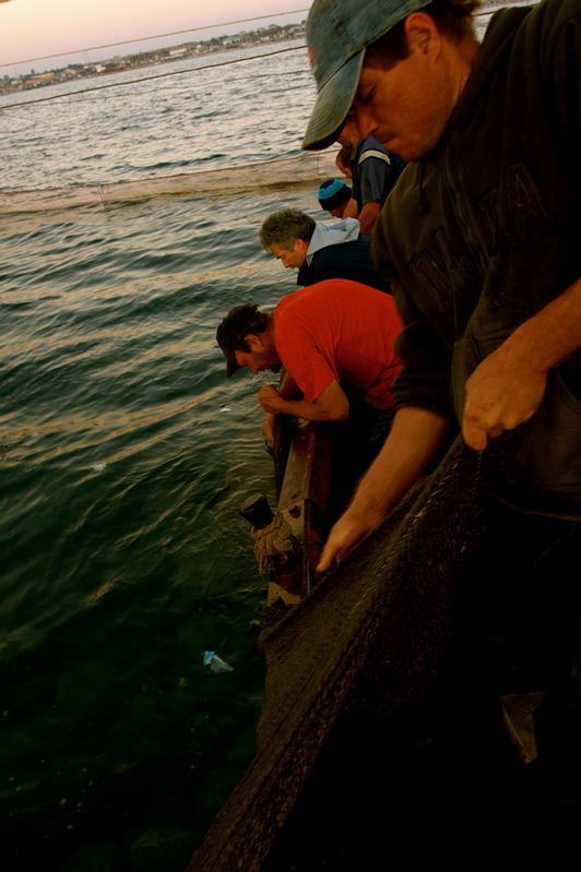 fishing in vama veche