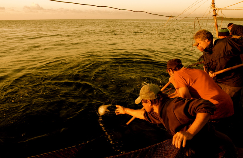 fishing in vama veche_6 (series)