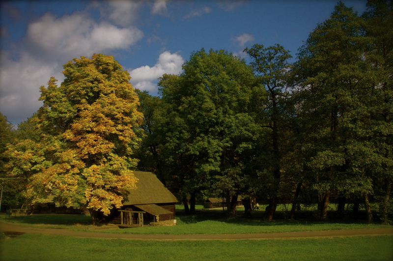 little house from forrest