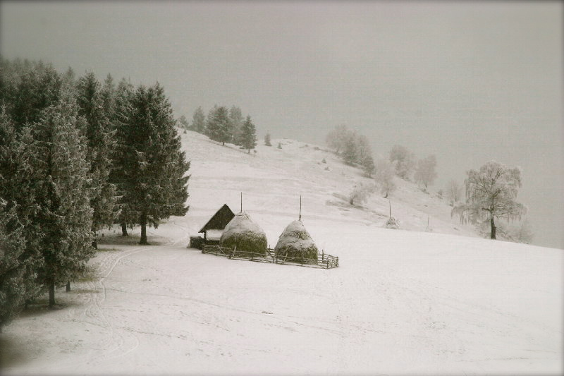 the winter is coming