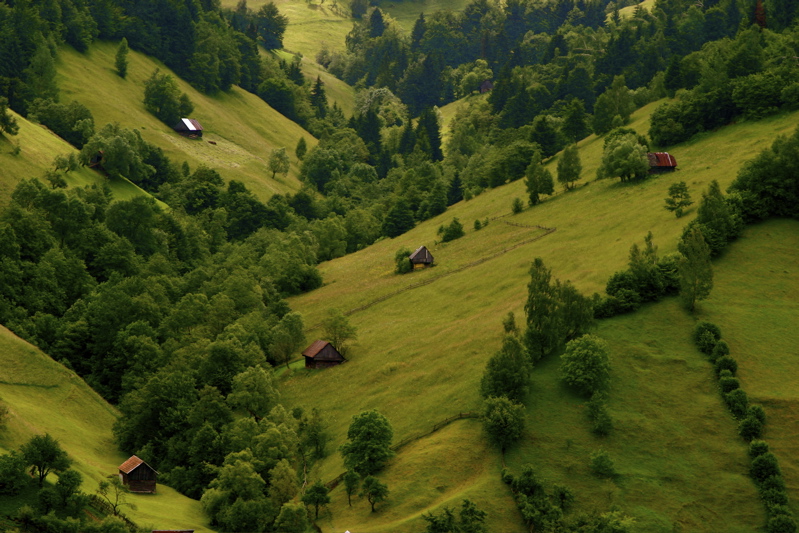 bran surroundings