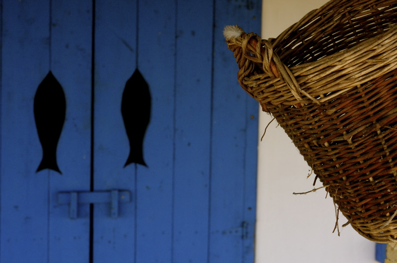 danube delta simplicity bis