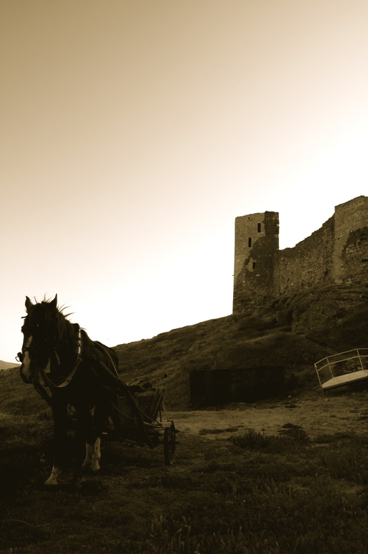 carriage with the horse attached