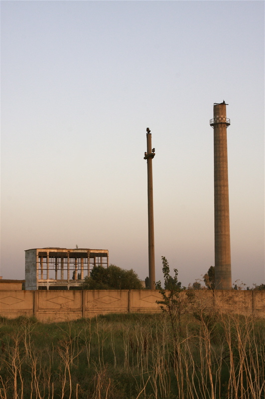 the deserted factory - sticks