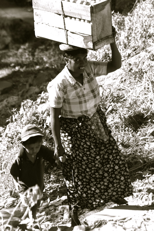 people from sri lanka - human transport_2
