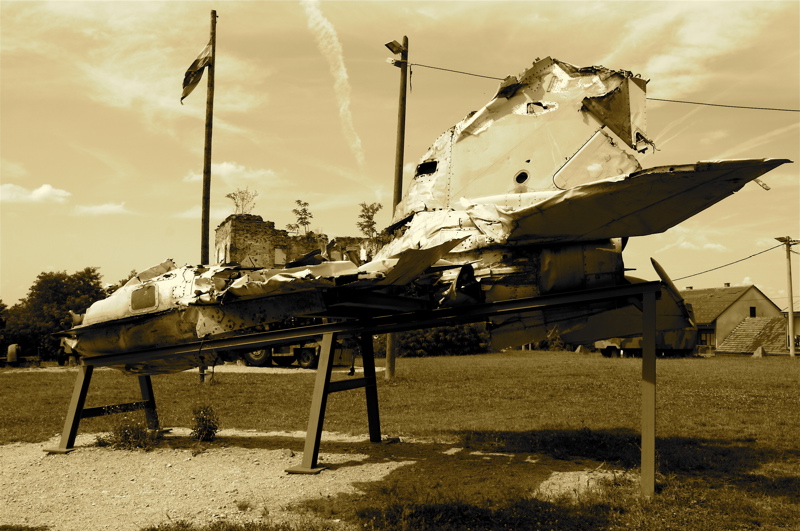 relics from the war - birdie