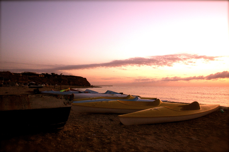 waiting for the sun