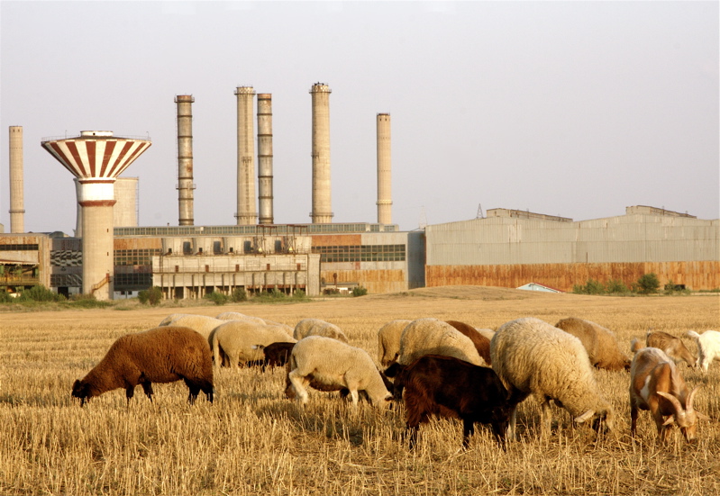 the deserted factory - and life goes on