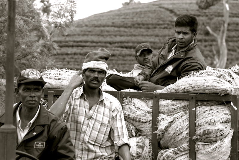 sri lanka - people from the tea plantation_2