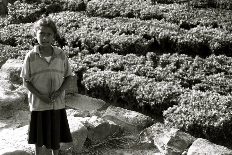 sri lanka - people from the tea plantation_1