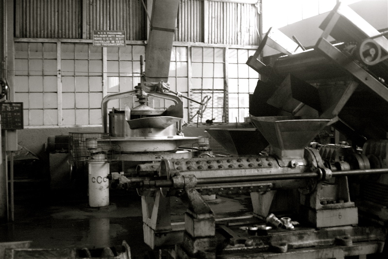 sri lanka - the tea factory_3