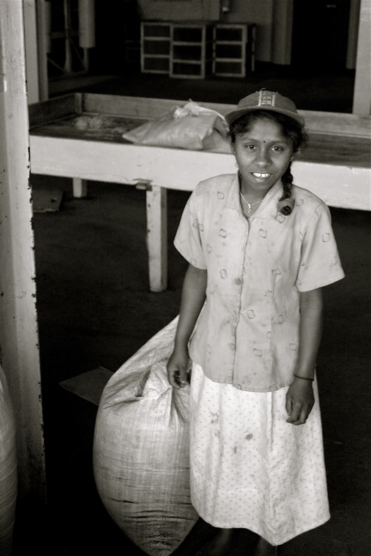 sri lanka - the tea factory_5