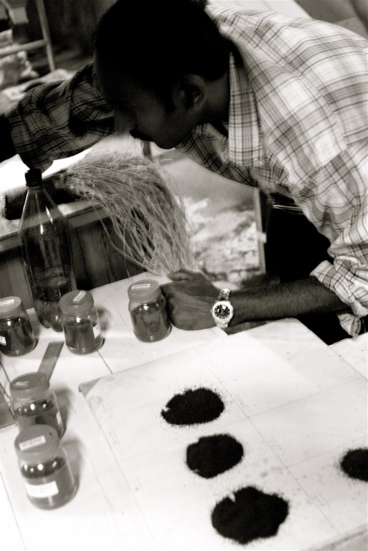 sri lanka - the tea factory_6