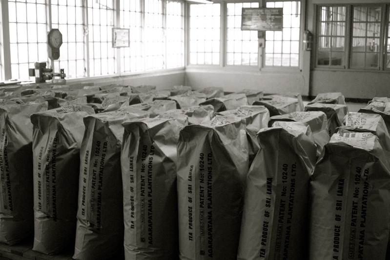 sri lanka - the tea factory_4