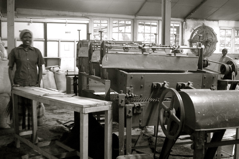 sri lanka - the tea factory_7