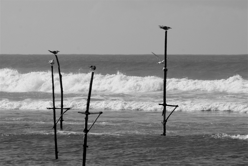 another kind of fishing figures