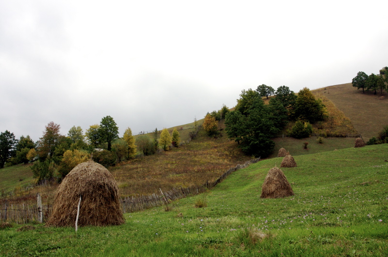 romanian countryside