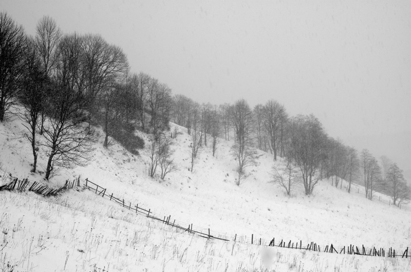 beautiful winter_1
