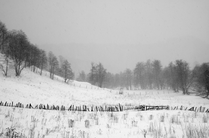 beautiful winter_2