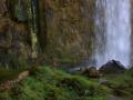 plitvice jezera - waterfall in green scenery