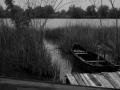 delta scenery b/w