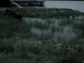 dusk in delta