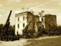 relics from the war - anti-aircraft guns