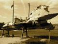 relics from the war - birdie