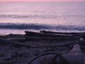 dawn scene