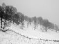 beautiful winter_1