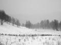 beautiful winter_2