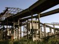 the deserted factory - concrete branches mix