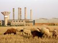 the deserted factory - and life goes on
