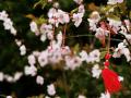 spring sign